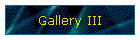 Gallery III