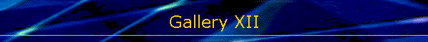 Gallery XII