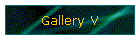 Gallery V