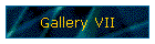 Gallery VII