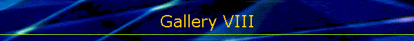Gallery VIII