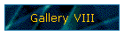 Gallery VIII